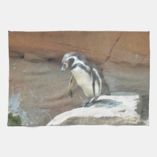 Linge De Cuisine Pingouin, Faune, Animal, Oiseau sauvage, Zoo, Été