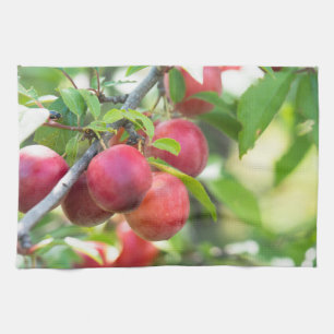 Linge De Cuisine Plum cerise sur branche