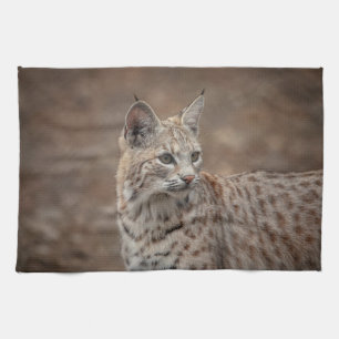 Linge De Cuisine Portrait d'un Bobcat