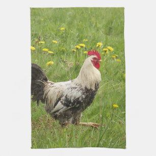 Linge De Cuisine poulet, coq, animal, oiseau, ferme, agriculture,