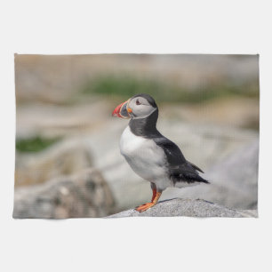 Linge De Cuisine Puffin Atlantique en Machias, Maine