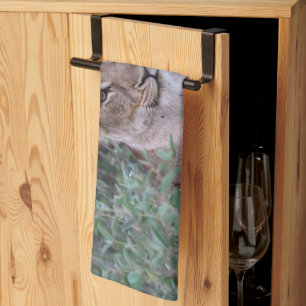 Linge De Cuisine Puissante Lionne – Photographie de Faune Sauvage