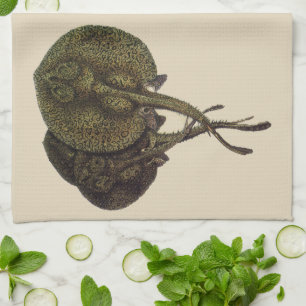 Linge De Cuisine Rayons vintages, Animaux de la vie marine