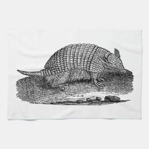 Linge De Cuisine Rétros tatous d'antiquité de tatou de 1800s