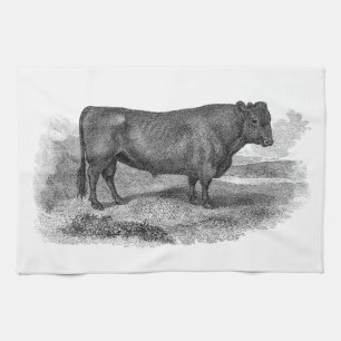 Linge De Cuisine Rétros taureaux de vache de 1800s à illustration