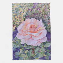 Rose de la Paix