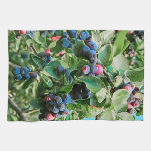 Linge De Cuisine Saskatoon