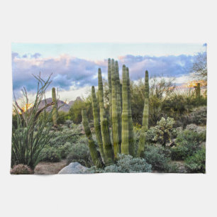 Linge De Cuisine Scottsdale Succulent Sunset