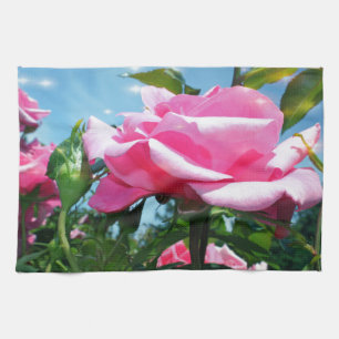 Linge De Cuisine Superbe rose rose dans le ciel bleu. Photographie