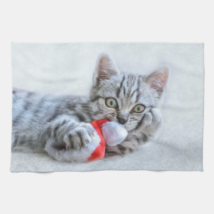 Linge De Cuisine Tabby gris mou Chat avec Noël Casquette