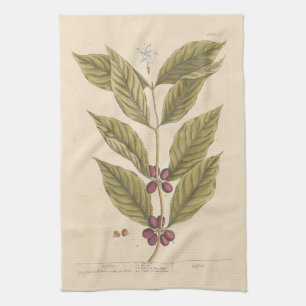 Linge De Cuisine Tablier de thé de Coffee d'Elizabeth Blackwell