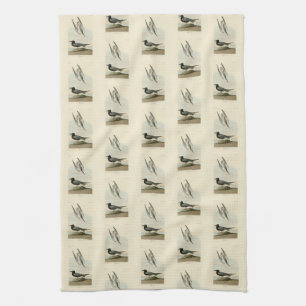 Linge De Cuisine Terne noire des oiseaux d'Amérique d'Audubon