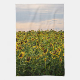 Linge De Cuisine Terrain de tournesol dans la lumière du soir