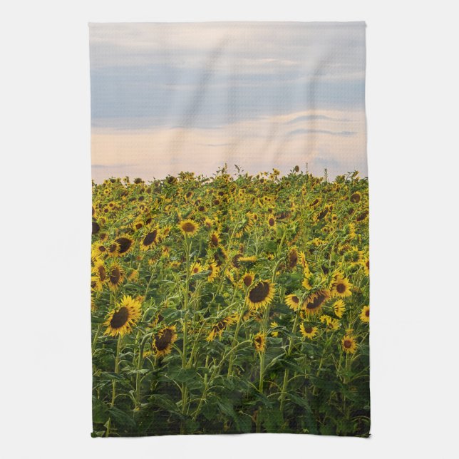 Linge De Cuisine Terrain de tournesol dans la lumière du soir (Vertical)