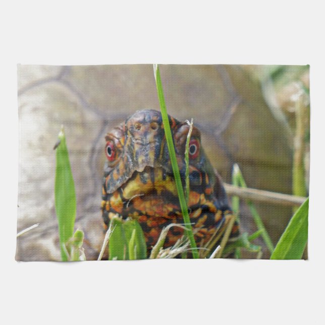 Linge De Cuisine Tortue (Horizontal)