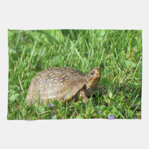 Linge De Cuisine Tortue