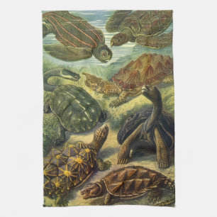 Linge De Cuisine Tortues de mer vintages de Terre par Ernst Haeckel