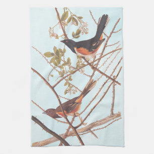Linge De Cuisine Towee Bunting Audubon Black and Orange Song Birds