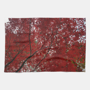Linge De Cuisine Tree Fall Season Red Brown Autumn Leaves