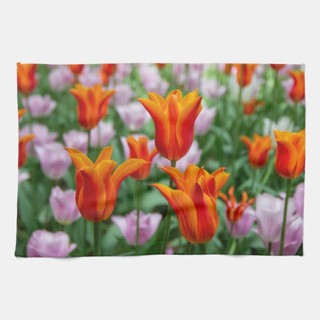 Linge De Cuisine Tulipes orange vif dans le parc (Horizontal)
