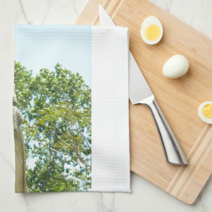 Linge De Cuisine Tyrannosaurus Rex dinosaure