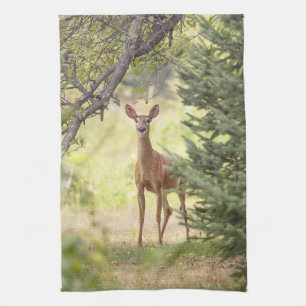 Linge De Cuisine Un cerf solitaire