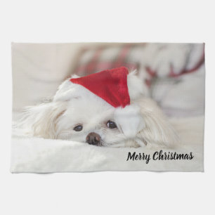 Linge De Cuisine Un mignon chien blanc dans un Casquette de Noël ro