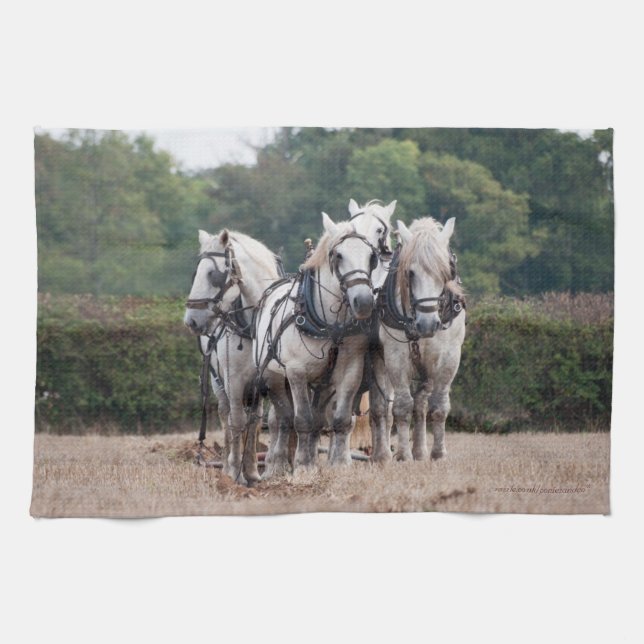 Linge De Cuisine Une équipe de Percheron (Horizontal)