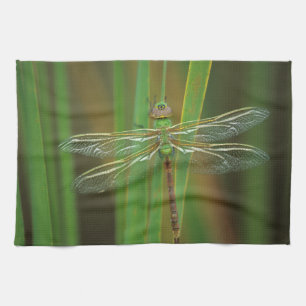 Linge De Cuisine USA, Géorgie. Dragonfly vert sur roseaux