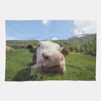 Linge De Cuisine Vache curieuse