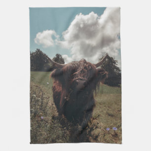 Linge De Cuisine Vache écossaise de la région montagneuse noire pât
