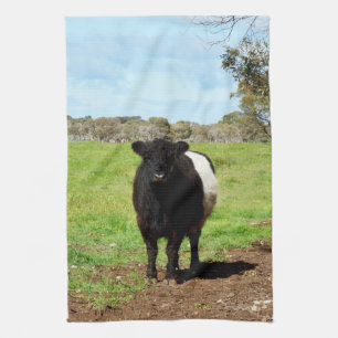 Linge De Cuisine Vache Laine Noire Et Blanche Galloway,