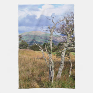 LINGE DE CUISINE VUES DES ALLES