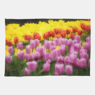 Linge De Cuisine WA, vallée de Skagit, jardin de tulipes Roozengaar