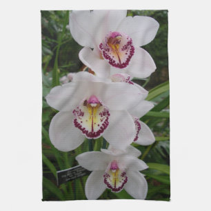 Linge De Cuisine White Orchids Beautiful Tropical Flowers