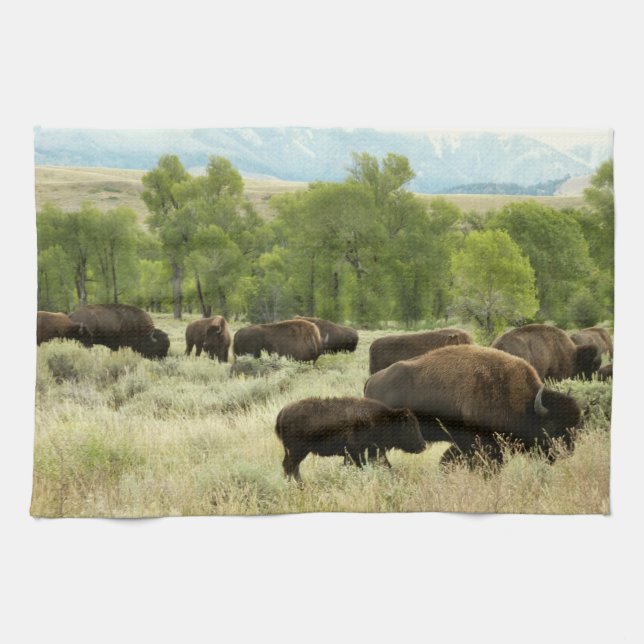 Linge De Cuisine Wyoming Bison Nature Animal Photographie (Horizontal)