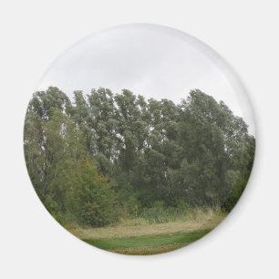 Linie der schiefen Bäume Landschaft Magnet