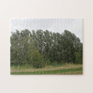 Linie der Vermietung Bäume Landschaftsrätsel