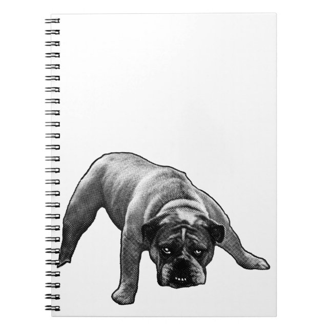 Linien, Listen, Bulldog Notizblock (Vorderseite)