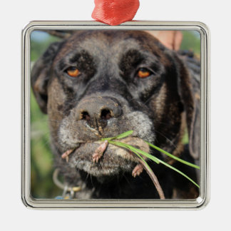 Link u. die Wühlmaus-Verzierung Silbernes Ornament