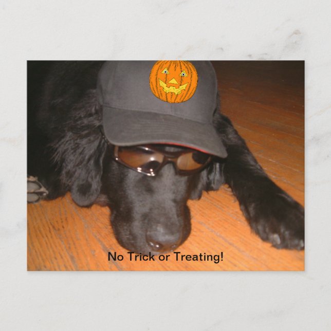 Links hinter diesem Halloween Postkarte (Vorderseite)