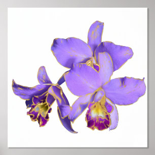 Links Lila Orchid Group Print Poster