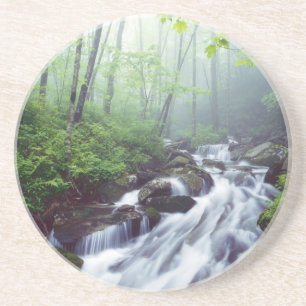 Linn Cove Creek kaskadiert durch nebligen Sandstein Untersetzer