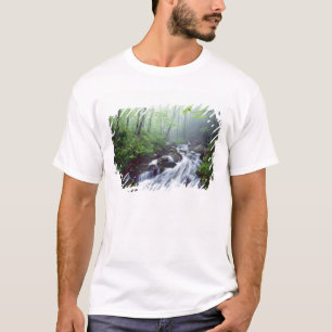 Linn Cove Creek kaskadiert durch nebligen T-Shirt