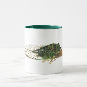 Linne's Cicada (Neotibicen linnei) Jährliche Tass Tasse