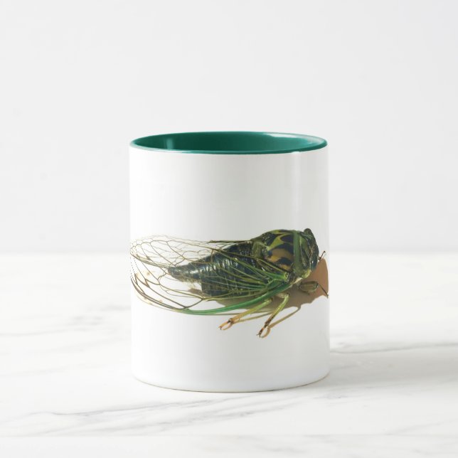 Linne's Cicada (Neotibicen linnei) Jährliche Tasse (Zentrum)