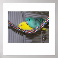 Linnies Perch