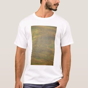 Linsenerbsen in Schwaden gelegt und warten auf die T-Shirt