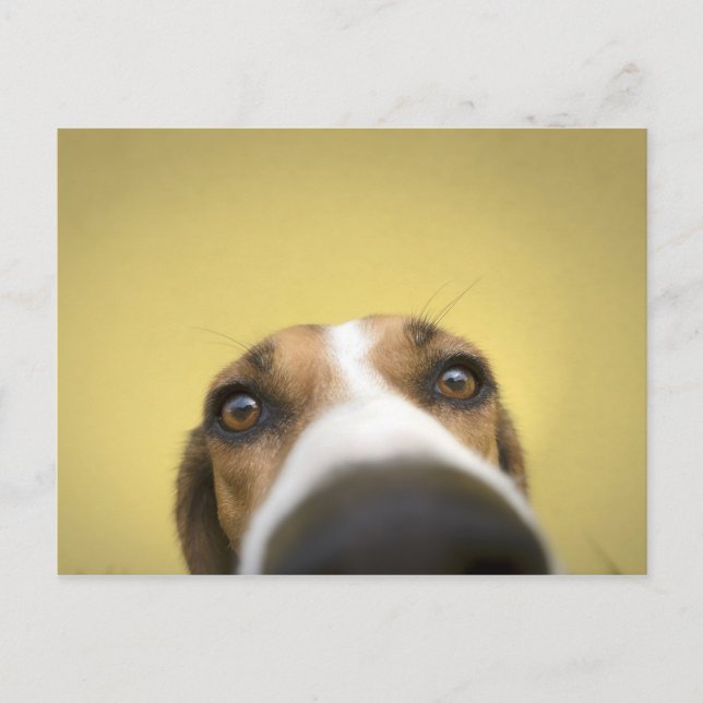 Linsenreiniger Postkarte (Vorderseite)