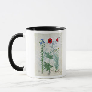 Linum, Klatschmohn und Abrotanum Tasse
